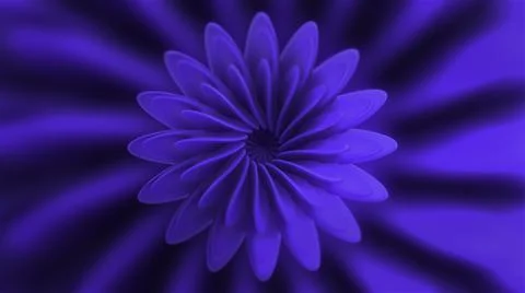 Abstract seamless loop loop motion of blue flower petals on a black background Stock Illustration