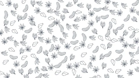 Abstract seamless loop of nature inspired line art illustrations gently falli Vidéo 333488609