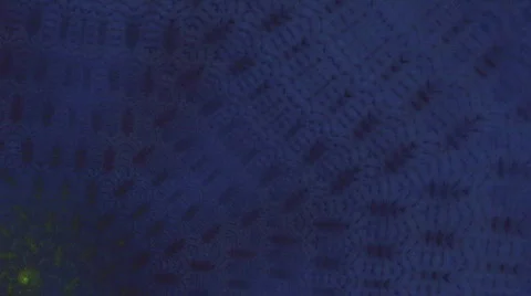 Abstract seamless looping background peacock HD Stock Footage 349247