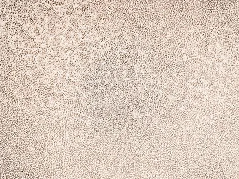 Abstract Seamless pattern dot pattern. grid polka dot Spotted line, Circles o Stock Photos