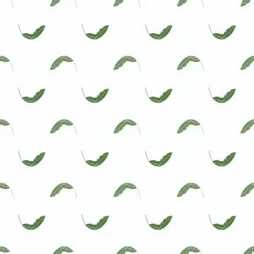 Abstract seamless pattern with small banana leaf shapes. Illustrazione stock