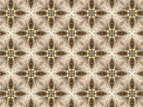 Abstract Seamless Pattern with Straw and Feather Texture Illustrazione stock