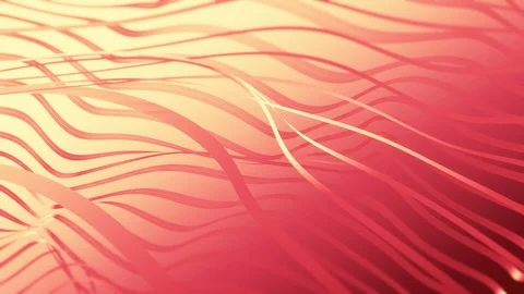 Abstract Seamless Red loop. 4K, UHD, Ultra HD resolution. Loop Stock Footage 109347454