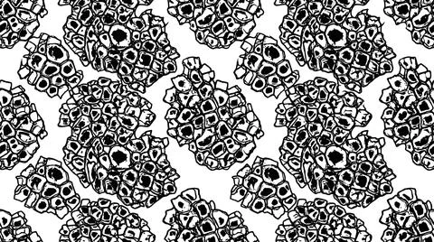 Abstract seamless texture pattern of barnacles or organic clusters background Stock Illustration