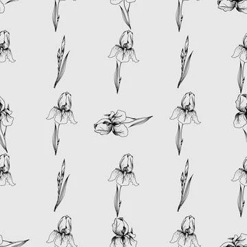 Abstract Seamless vector pattern with iris flowers. 스톡 일러스트