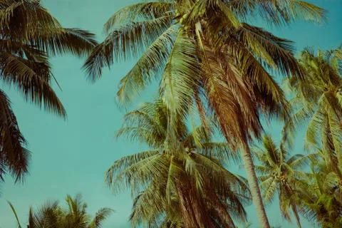 Abstract Seashell blurred background.Backdrop with copy cpace for webdesign. 스톡 사진