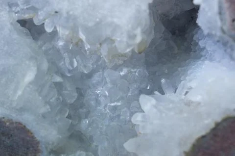 Abstract Seashell Stock Photos