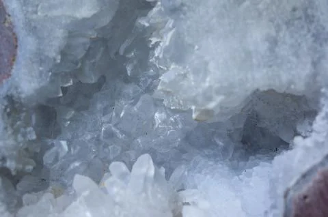 Abstract Seashell Stock Photos