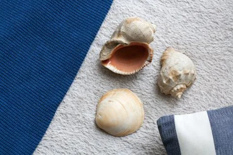 Abstract seaside composition with shells, fabrics and stripped cushion Stock Photos