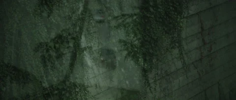 Abstract Seattle Traffic in reflection of window Stockbeeldmateriaal 135476644