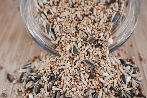Abstract seeds in jar Stock Photos