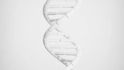 Abstract segmented white DNA double helix rotating on a clean light background Stock Footage 340563674