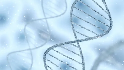 Abstract several spinning DNA molecules 3D rendering. Stock Footage 325653246