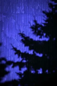 Abstract shade tree Stock Photos