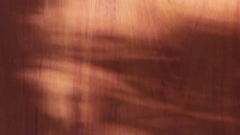 Abstract shadow background on wooden surface with little movement. Video stock 299552679