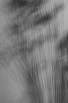 Abstract Shadow Brushstroke Black White - Artistic Motion Blur Background Stock Photos