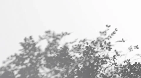 Abstract shadow bush branches on wind background 스톡 일러스트