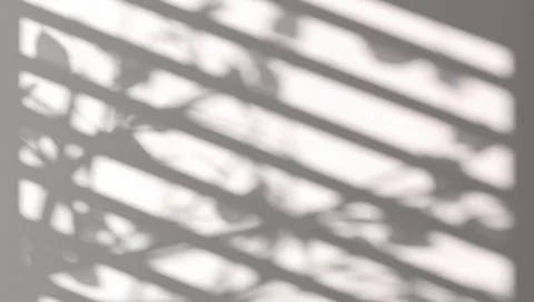 Abstract shadow of foliage and blinds background Illustrazione stock