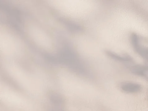 Abstract shadow of leaves on pink wall background Stock Photos