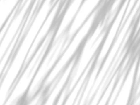 Abstract shadow of leaves on wall background Stock Photos