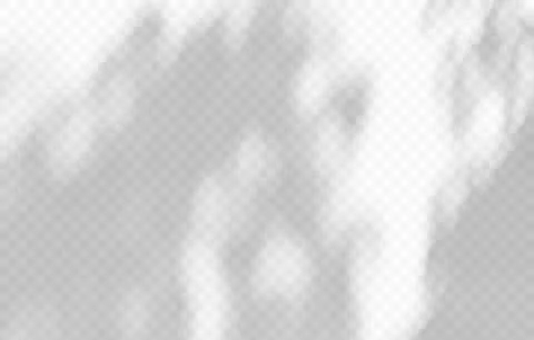Abstract shadow of leaves on a white wall, overlay effect for photo, mock up Stock Illustration