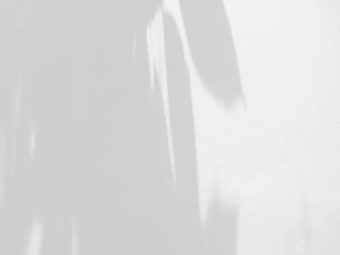 Abstract shadow of leaves on a white wall background Stock Photos