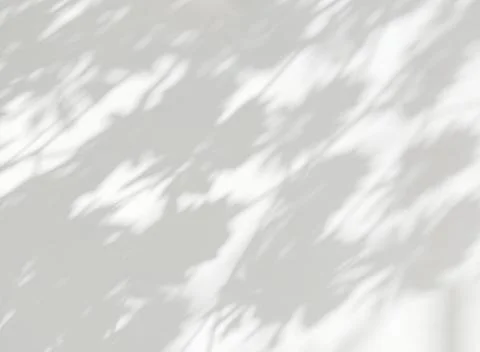 Abstract shadow of leaves on a white wall background Stock Photos
