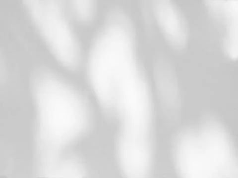 Abstract shadow of leaves on a white wall background Stock Photos