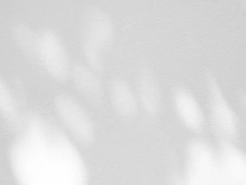 Abstract shadow of leaves on a white wall Stock Photos
