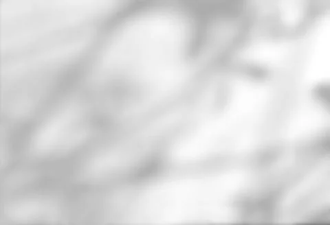 Abstract shadow of leaves on a white wall background Stock Photos