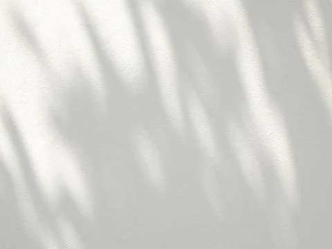 Abstract shadow of leaves on a white wall Stock Photos
