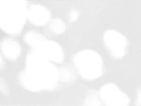 Abstract shadow of leaves on a white wall background Stock Photos