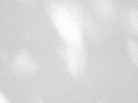 Abstract shadow of leaves on a white wall Stock Photos