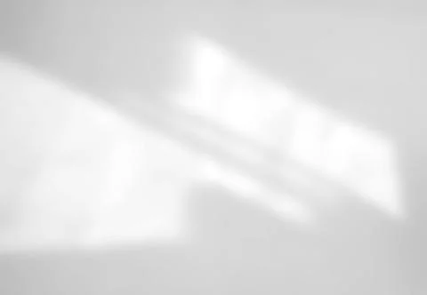 Abstract shadow of leaves on a white wall background Stock Photos
