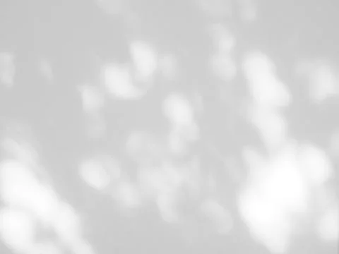 Abstract shadow of leaves on a white wall background Stock Photos