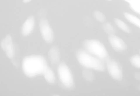 Abstract shadow of leaves on a white wall Stock Photos