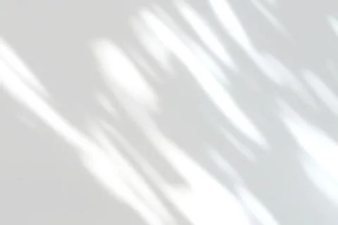 Abstract shadow of leaves on a white wall background Stock Photos