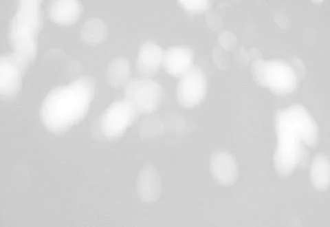 Abstract shadow of leaves on a white wall Stock Photos