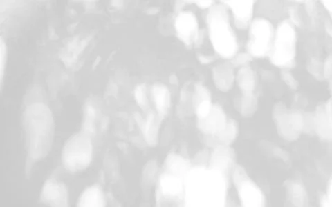 Abstract shadow of leaves on a white wall Stock Photos