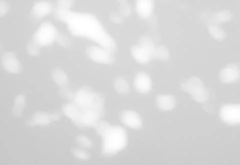 Abstract shadow of leaves on a white wall background Stock Photos