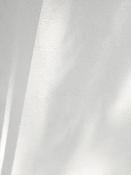 Abstract shadow of leaves on a white wall Stock Photos