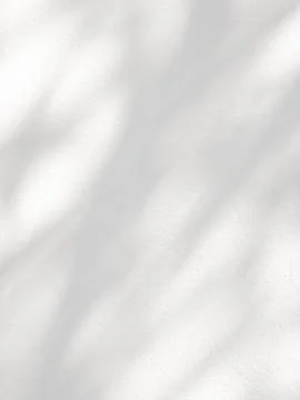 Abstract shadow of leaves on a white wall Stock Photos