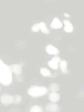 Abstract shadow of leaves on a white wall background Stock Photos
