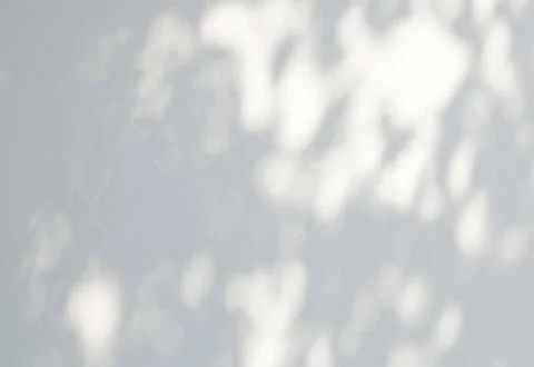 Abstract shadow of leaves on a white wall background Stock Photos