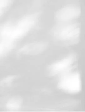 Abstract shadow of leaves on a white wall background Stock Photos