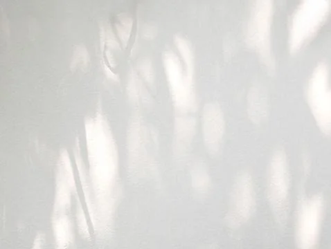 Abstract shadow of leaves on a white wall background Stock Photos