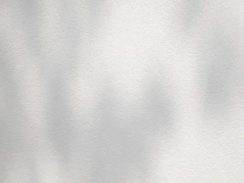 Abstract shadow of leaves on a white wall background Stock Photos