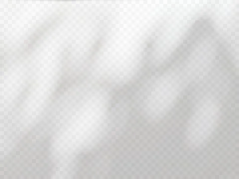 Abstract shadow of leaves on a white wall, overlay effect for photo, mockup Stock Photos