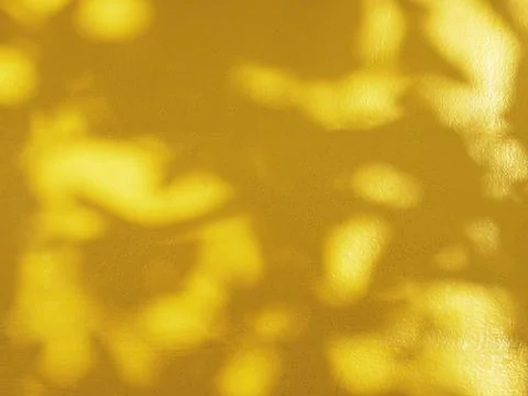 Abstract shadow of leaves on yellow background Stock Photos