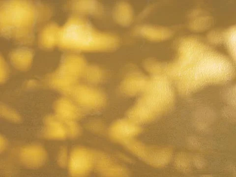 Abstract shadow of leaves on yellow background Stock Photos